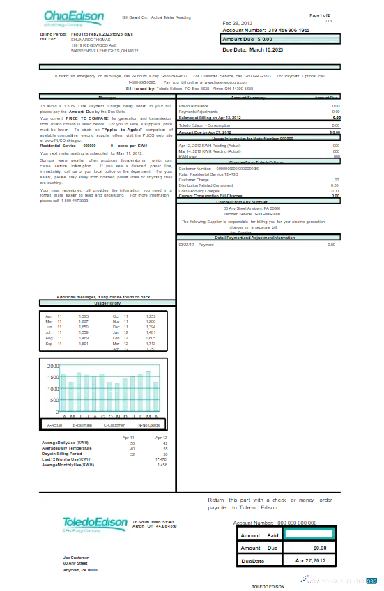download download USA OHIO EDISON utility bill Word and PDF template PDF template PDF template